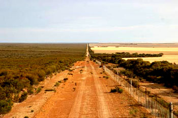 Rabbit fence